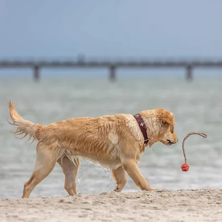 Grevenburg An Der Seebruecke 아파트 징스트