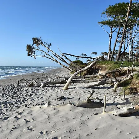 Grevenburg An Der Seebruecke *